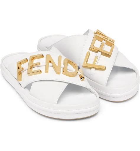 fendigraphy slides